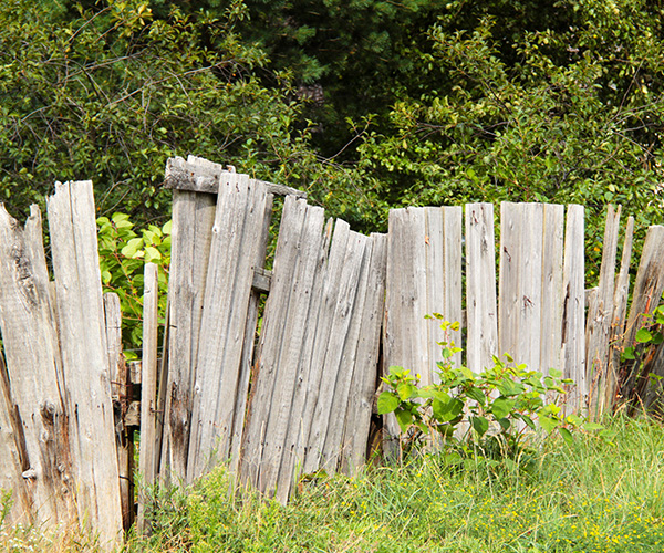 Agera Ltd - Luxury Fencing, South East