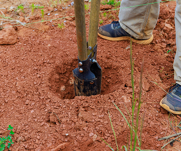 Agera Ltd - Luxury Fencing, South East